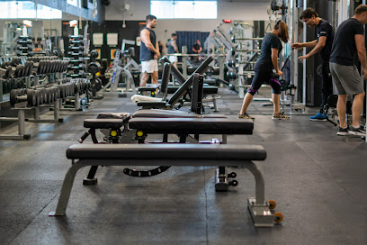 Personal Gym & Lifestyle