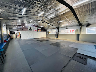 Academia Ultimate Fight & Fitness Club