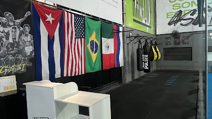 CT Atena Boxing