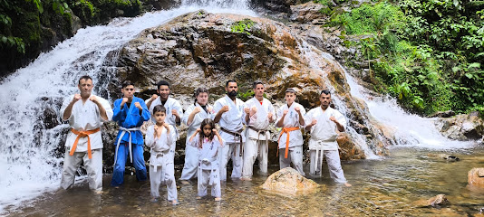 Karatê Kyokushin