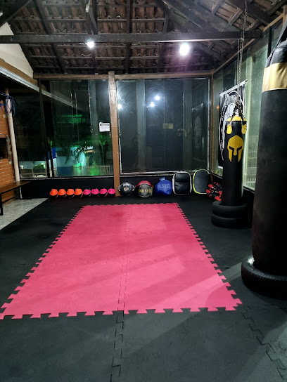 CT Blackout (MMA/Boxe/Muay Thai)