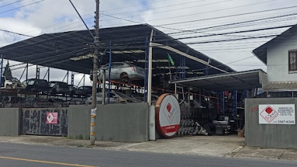 Regi Auto Peças