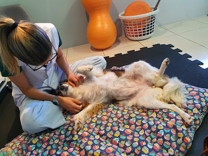 Animal Fit Fisiatria e Reabilitação Veterinária