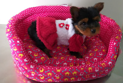 Clínica Veterinária e Pet Doce Filhotes