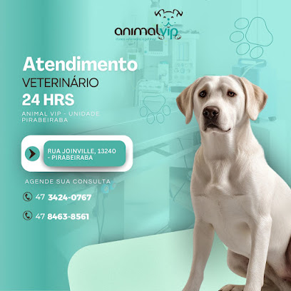 Animal Vip Clínica Veterinária - Filial