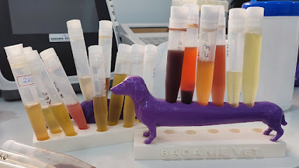 Badanie Vet - Serviços em Patologia Clínica Veterinária