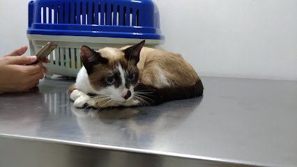 Clínica Veterinária Bicho de Estimação