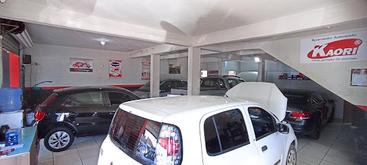 Auto Elétrica Diego