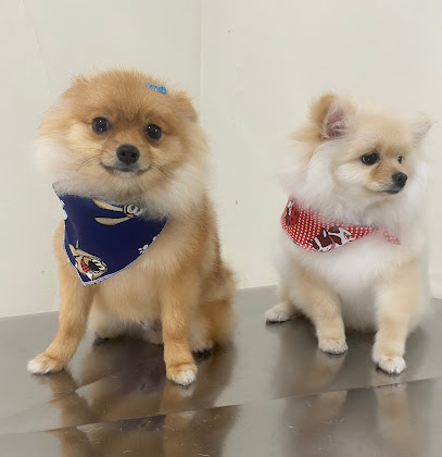 Pet Shop Patas & Garras